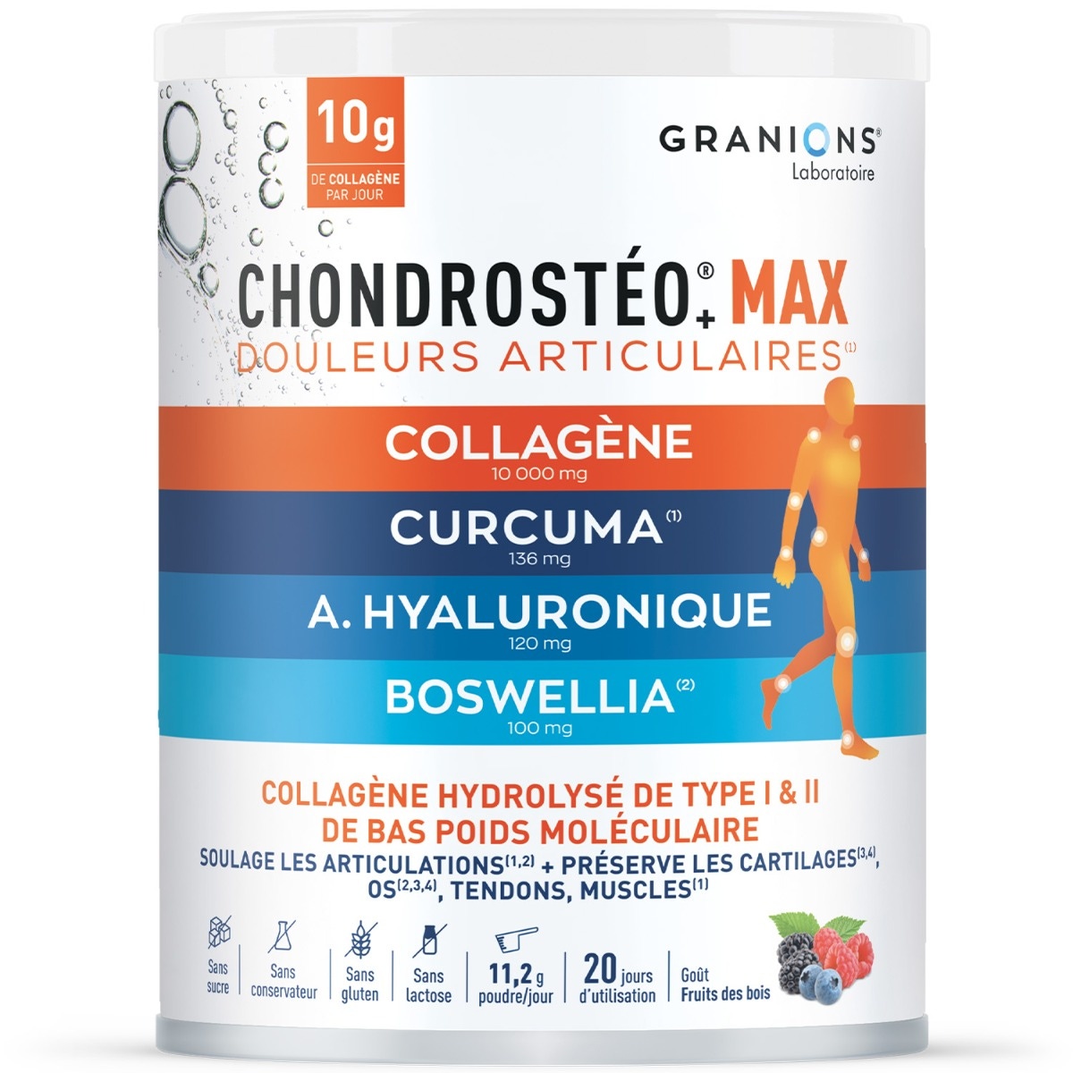 GRANIONS - Chondrostéo+ Max 