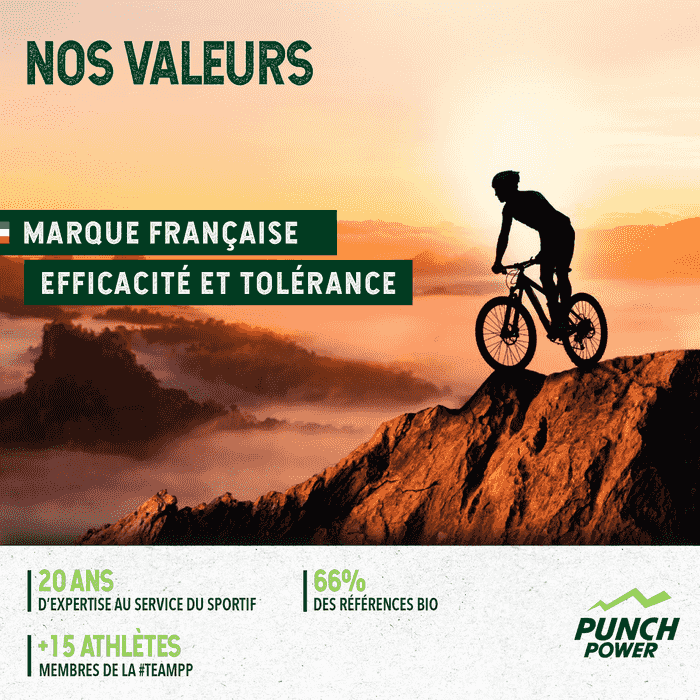 Punch Power Protein 90 - 450 g - Vanilla