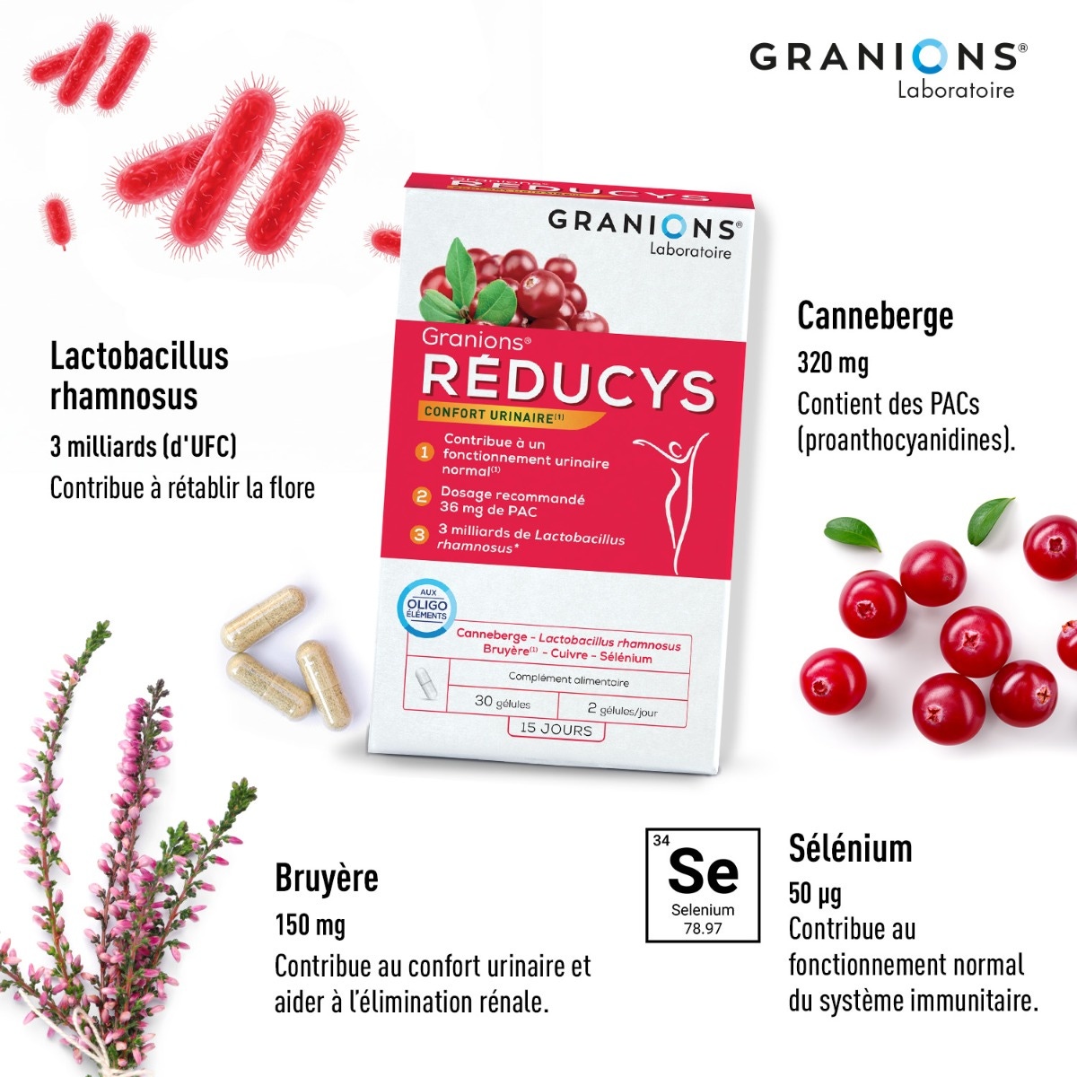 GRANIONS - Réducys - Bienfaits