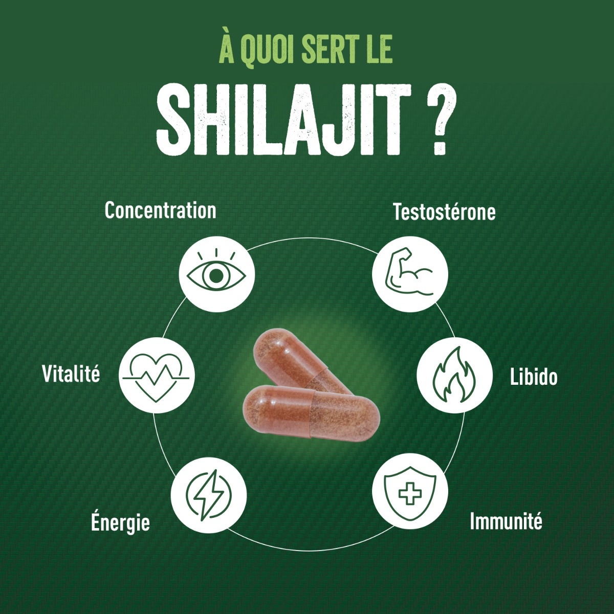 Punch Power - Shilajit 1000mg